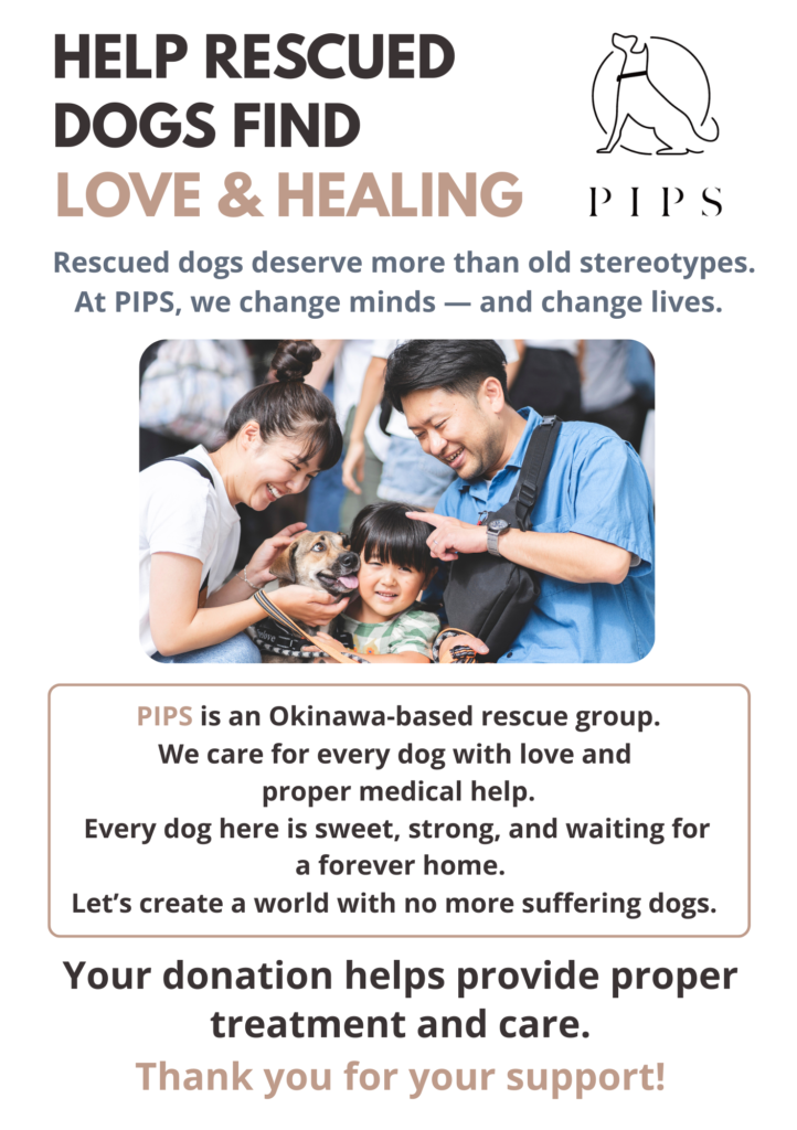 沖縄の保護犬団体PIPSの募金箱設置用POP制作実績